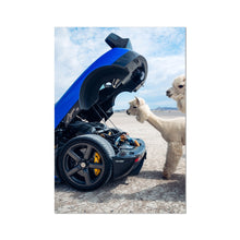 Load image into Gallery viewer, image3