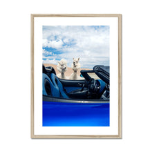 Load image into Gallery viewer, image5