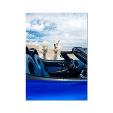 Load image into Gallery viewer, image3