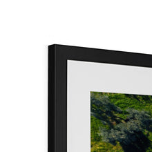 Load image into Gallery viewer, image3
