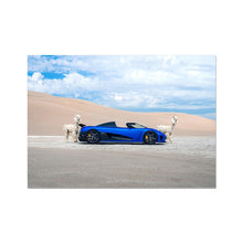 Load image into Gallery viewer, image3