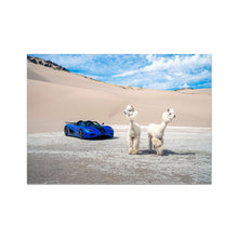 Load image into Gallery viewer, image3