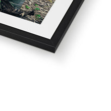 Load image into Gallery viewer, Tourbillon Bamboo Forest Framed & Mounted Print