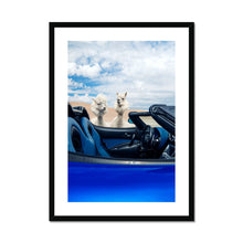 Load image into Gallery viewer, image3