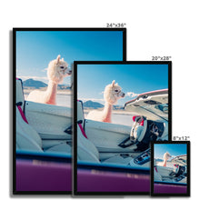 Load image into Gallery viewer, Aventador Alpaca Framed Print