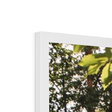 Load image into Gallery viewer, Koenigsegg Jesko Framed Print