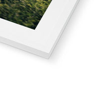 Load image into Gallery viewer, F1 GTR Framed & Mounted Print