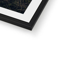 Load image into Gallery viewer, 250 TR Horse 2 Framed & Mounted Print