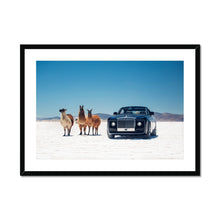 Load image into Gallery viewer, Sweptail Framed & Mounted Print