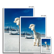Load image into Gallery viewer, Alpaca Countach Framed Print