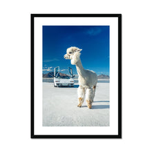 Load image into Gallery viewer, Alpaca Countach Framed & Mounted Print