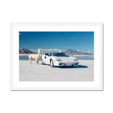 Load image into Gallery viewer, Countach Alpacas Landscape Framed & Mounted Print