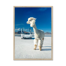 Load image into Gallery viewer, Alpaca Countach Framed Print