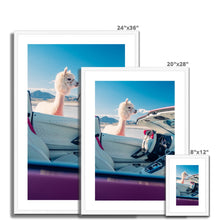 Load image into Gallery viewer, Aventador Alpaca Framed & Mounted Print