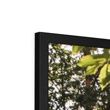 Load image into Gallery viewer, Koenigsegg Jesko Framed Print