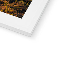 Load image into Gallery viewer, 250 TR Horse Framed & Mounted Print