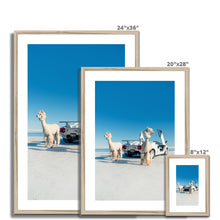 Load image into Gallery viewer, Alpacaghini Framed & Mounted Print