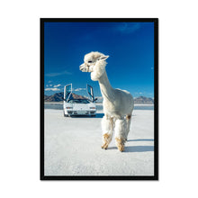 Load image into Gallery viewer, Alpaca Countach Framed Print