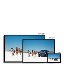 Load image into Gallery viewer, Sweptail Framed Print