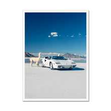 Load image into Gallery viewer, Countach Alpacas Framed Print