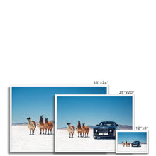 Load image into Gallery viewer, Sweptail Framed Print