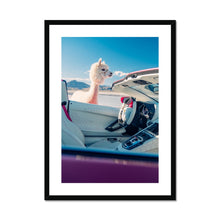 Load image into Gallery viewer, Aventador Alpaca Framed & Mounted Print