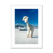 Load image into Gallery viewer, Alpaca Countach Framed & Mounted Print