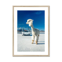 Load image into Gallery viewer, Alpaca Countach Framed & Mounted Print