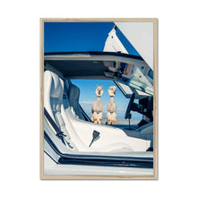 Load image into Gallery viewer, Double Trouble Framed Print