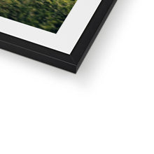 Load image into Gallery viewer, F1 GTR Framed & Mounted Print