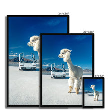 Load image into Gallery viewer, Alpaca Countach Framed Print