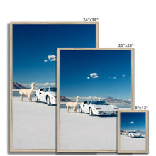 Load image into Gallery viewer, Countach Alpacas Framed Print