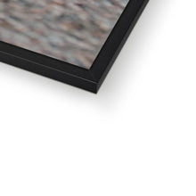 Load image into Gallery viewer, Miura SV Framed Print