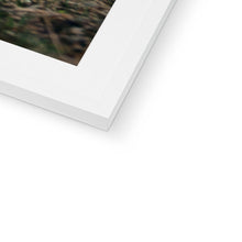 Load image into Gallery viewer, Minty Framed & Mounted Print