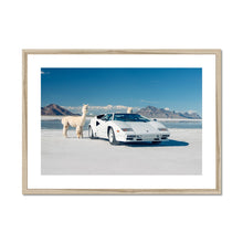 Load image into Gallery viewer, Countach Alpacas Landscape Framed & Mounted Print
