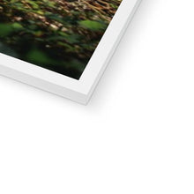 Load image into Gallery viewer, Koenigsegg Jesko Framed Print