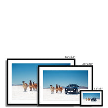 Load image into Gallery viewer, Sweptail Framed & Mounted Print