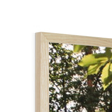 Load image into Gallery viewer, Koenigsegg Jesko Framed Print