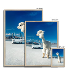Load image into Gallery viewer, Alpaca Countach Framed Print