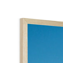 Load image into Gallery viewer, Sweptail Framed Print