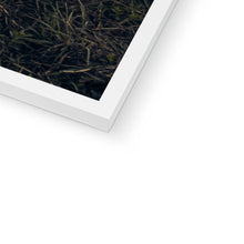 Load image into Gallery viewer, 250 TR Horse 2 Framed Print