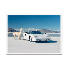 Load image into Gallery viewer, Countach Alpacas Landscape Framed Print