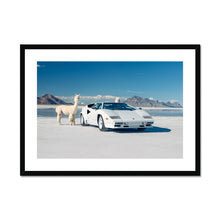 Load image into Gallery viewer, Countach Alpacas Landscape Framed & Mounted Print