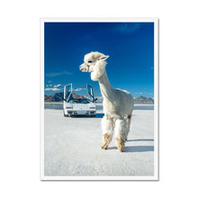 Load image into Gallery viewer, Alpaca Countach Framed Print