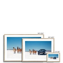 Load image into Gallery viewer, Sweptail Framed & Mounted Print
