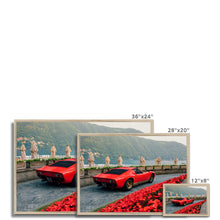 Load image into Gallery viewer, Miura SV Framed Print