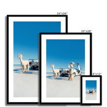 Load image into Gallery viewer, Alpacaghini Framed & Mounted Print