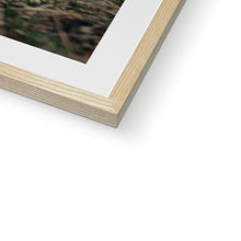Load image into Gallery viewer, Minty Framed & Mounted Print