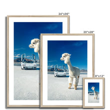 Load image into Gallery viewer, Alpaca Countach Framed & Mounted Print