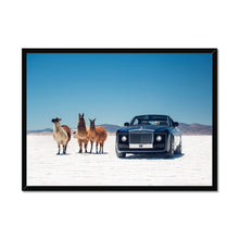 Load image into Gallery viewer, Sweptail Framed Print